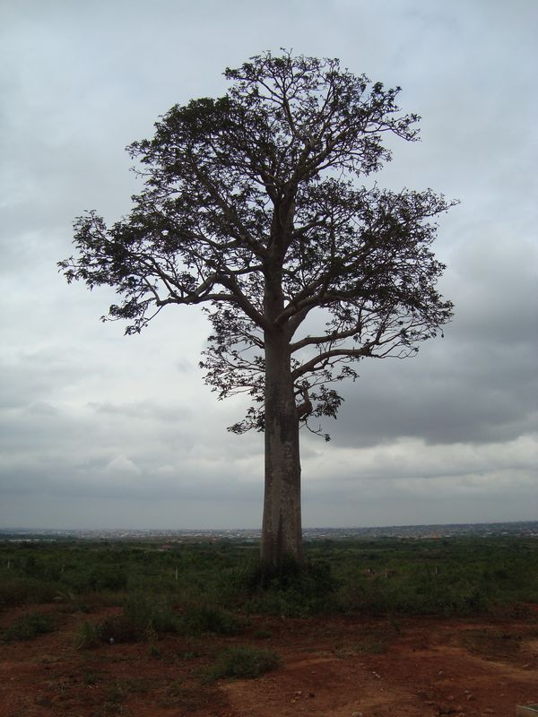 Africa part 1 053 [800x600]